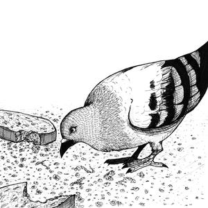 Interlude v2 (Explicit)