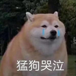 算了吧