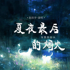 夏夜最后的烟火 (当我抬起头)-赵欣宇