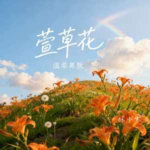 萱草花 (温柔男版)