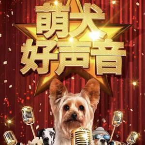 萌犬好声音（中文）