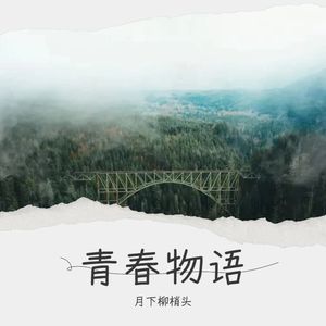 无感 (伴奏)