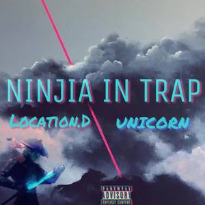 Ninjia In Trap