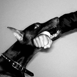 MUTT (Explicit)