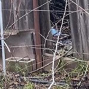 piece by piece (Explicit)