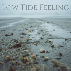 Low Tide Feeling