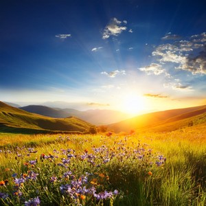 When The World Feels Open