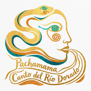 Raíces del Bosque de Piedra