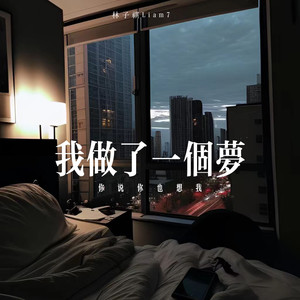 我做了一个梦（你说你也想我）