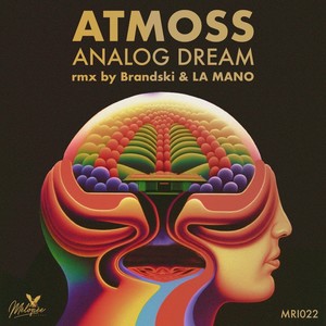 Analog Dream (Brandski Remix)