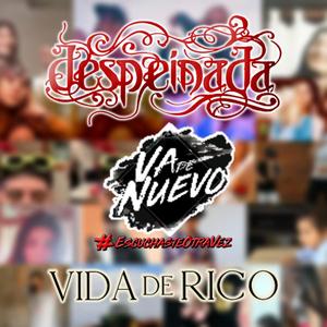 Despeinada, vida de rico(feat. amigos)