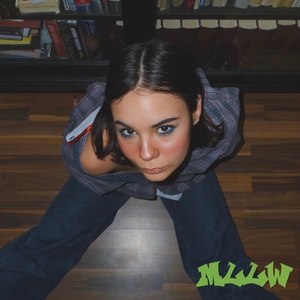 mllw (Explicit)