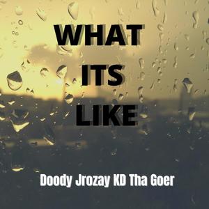What its Like (feat. KD Tha Goer) (Explicit)