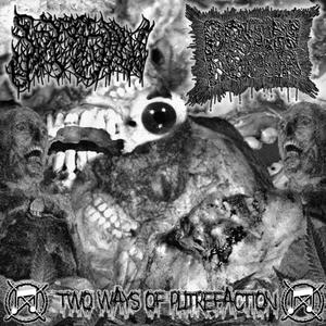 Two Ways Of Putrefaction (Split w/ Spitsaw) Brain Decor side [Explicit]