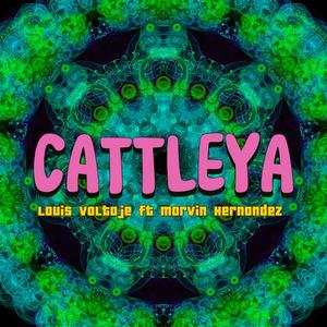 Cattleya (feat. Marvin hernandez)