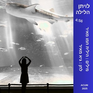 לויתן הלילה (Acoustic Version)