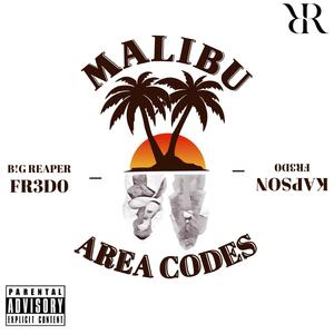 MALIBU / AREA CODES (feat. B!G REAPER, FR3D0 & Kapson) (Explicit)