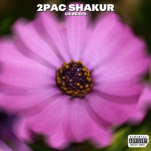 2PAC SHAKUR