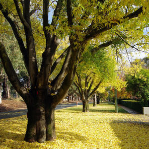 Shortest Track Ever (feat. BBCDaddy)