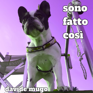 Sono Fatto Così