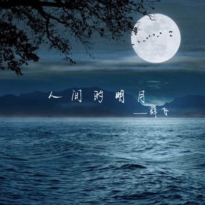 薛飞superman《人间的明月》[MP3_LRC]_MP3免费下载