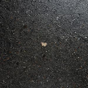 downfall of all i know (Explicit)