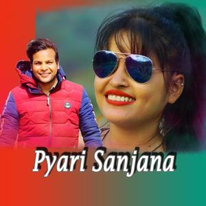 Pyari Sanjana (feat. mohan chausali)