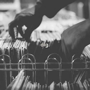 Vinyl Digger