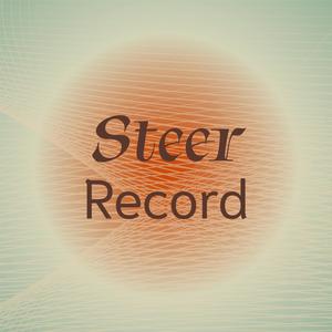 Steer Record