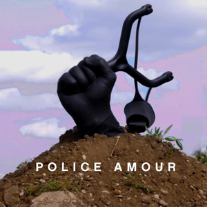 Police Amour