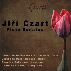 Sonata in E Minor, JCZ. N. 11/D-B - III. Allegretto