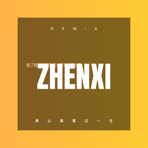 他去了木里 (Remix)封面