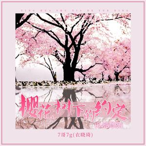樱花树下的约定 (DJ浩然版伴奏)