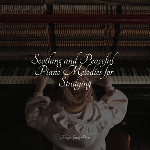 Soothing and Peaceful Piano Melodies for Studying