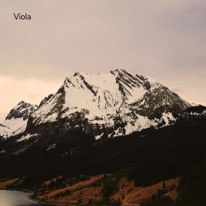 Viola