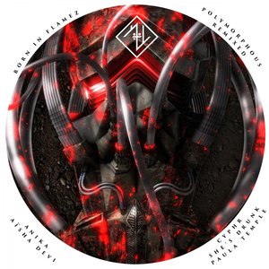 Polymorphous (She's Drunk Remix)