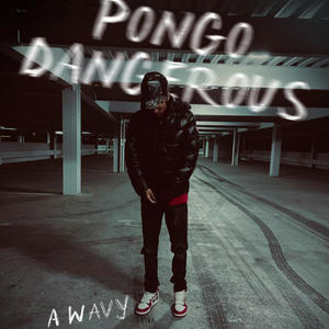 PONGO dangerous (Explicit)