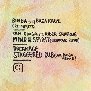 Staggered Dub (Sam Binga Remix)