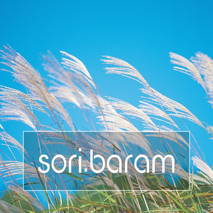 바람이 분다 (吹风了)