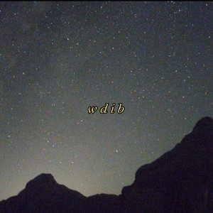 Wdib