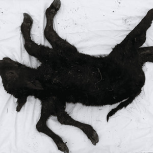 life's so pointless is it even worth it