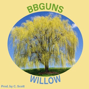 Willow (Explicit)