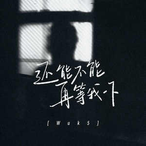 还能不能再等我一下