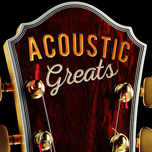 Acoustic Hits - Jar of Hearts