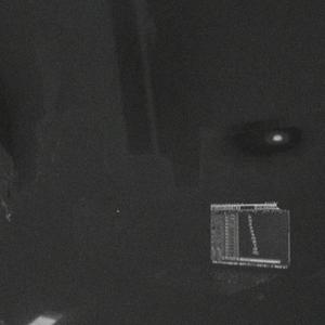 Mandarin Cookies (Explicit)