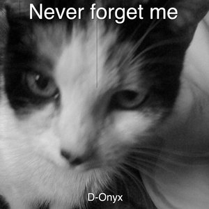 Never Forget Me