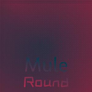 Mule Round