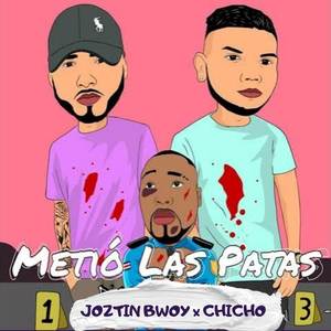 Metió Las Patas (Explicit)