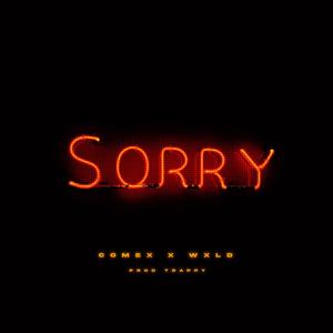 Sorry (feat. Wxld) (Explicit)