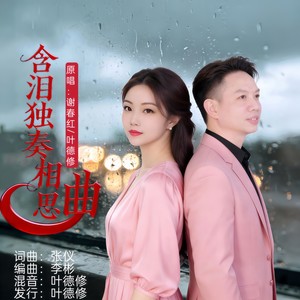 含泪独奏相思曲 (对唱版伴奏)